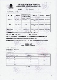 检测仪器报告证书：涂层测厚仪